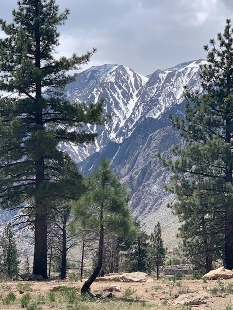 Picture of the Wheeler Crest from upper Swall.