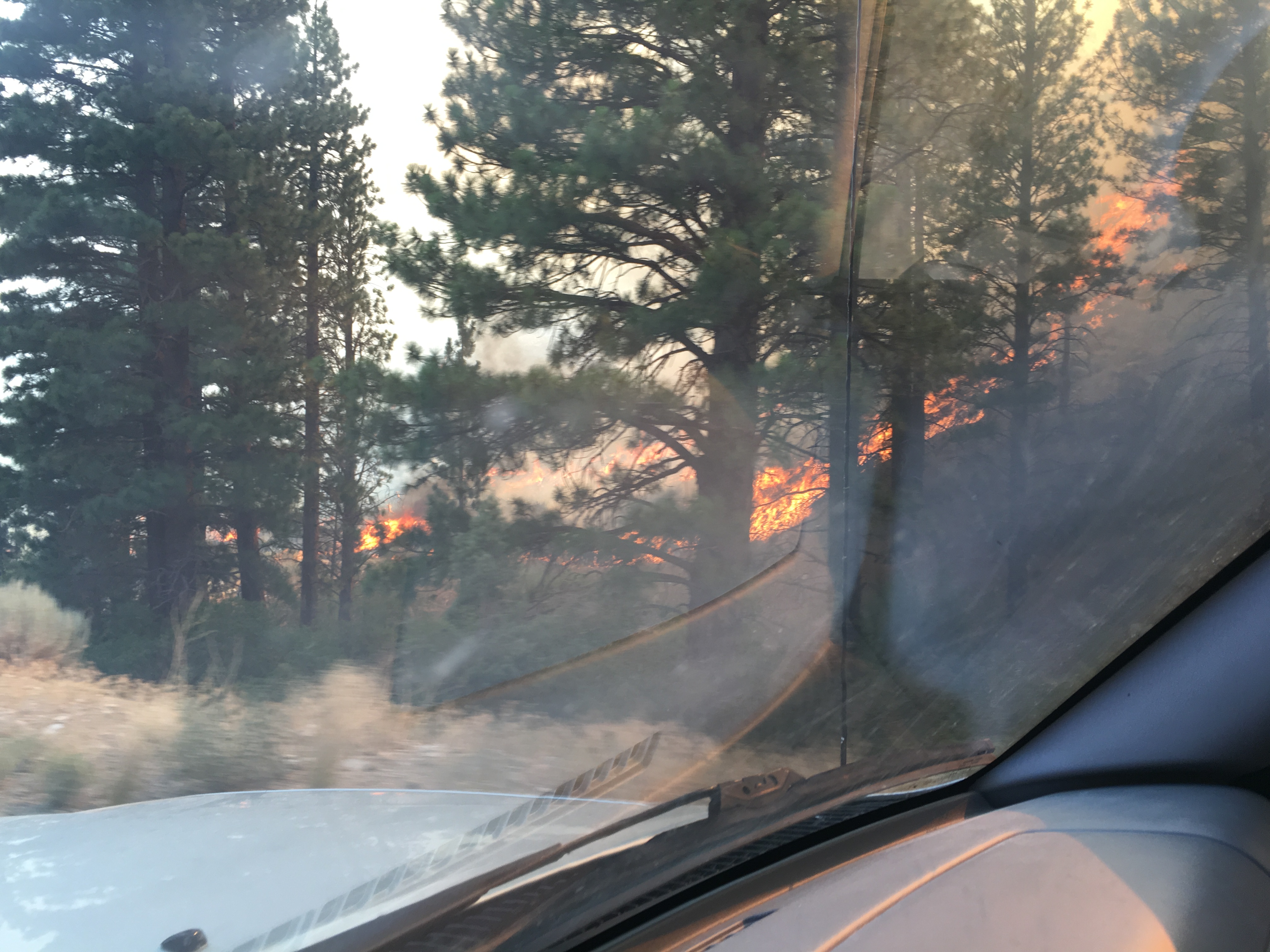 Fire burning on a hill slope as seen from an automobile. 