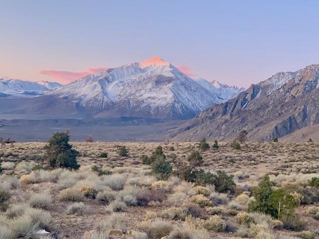 Photo of Mount Tom from lower Swall Meadows.