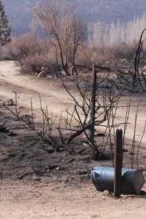 An image of a burnt mailbox and vegetation after the 2015 Round Fire. 